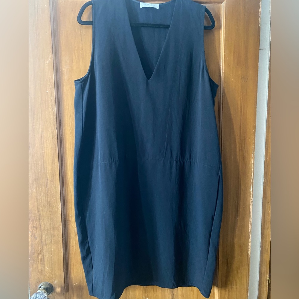 Everlane Dress| The Japanese GoWeave Sleeveless V-Neck Dress